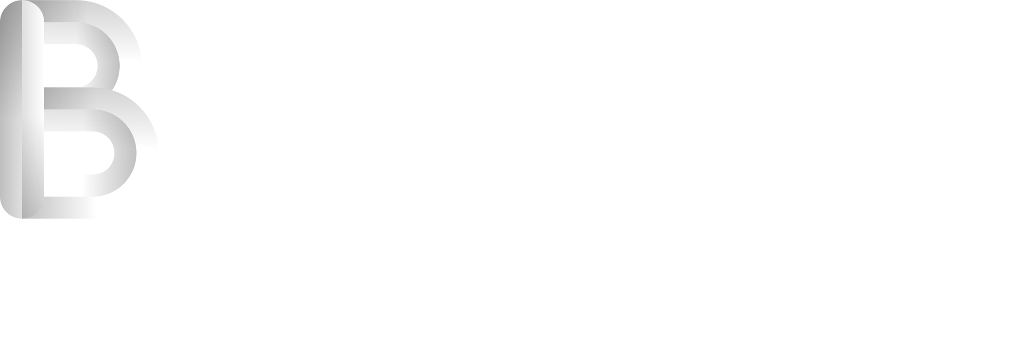 BlueCat Projektör Tamiri